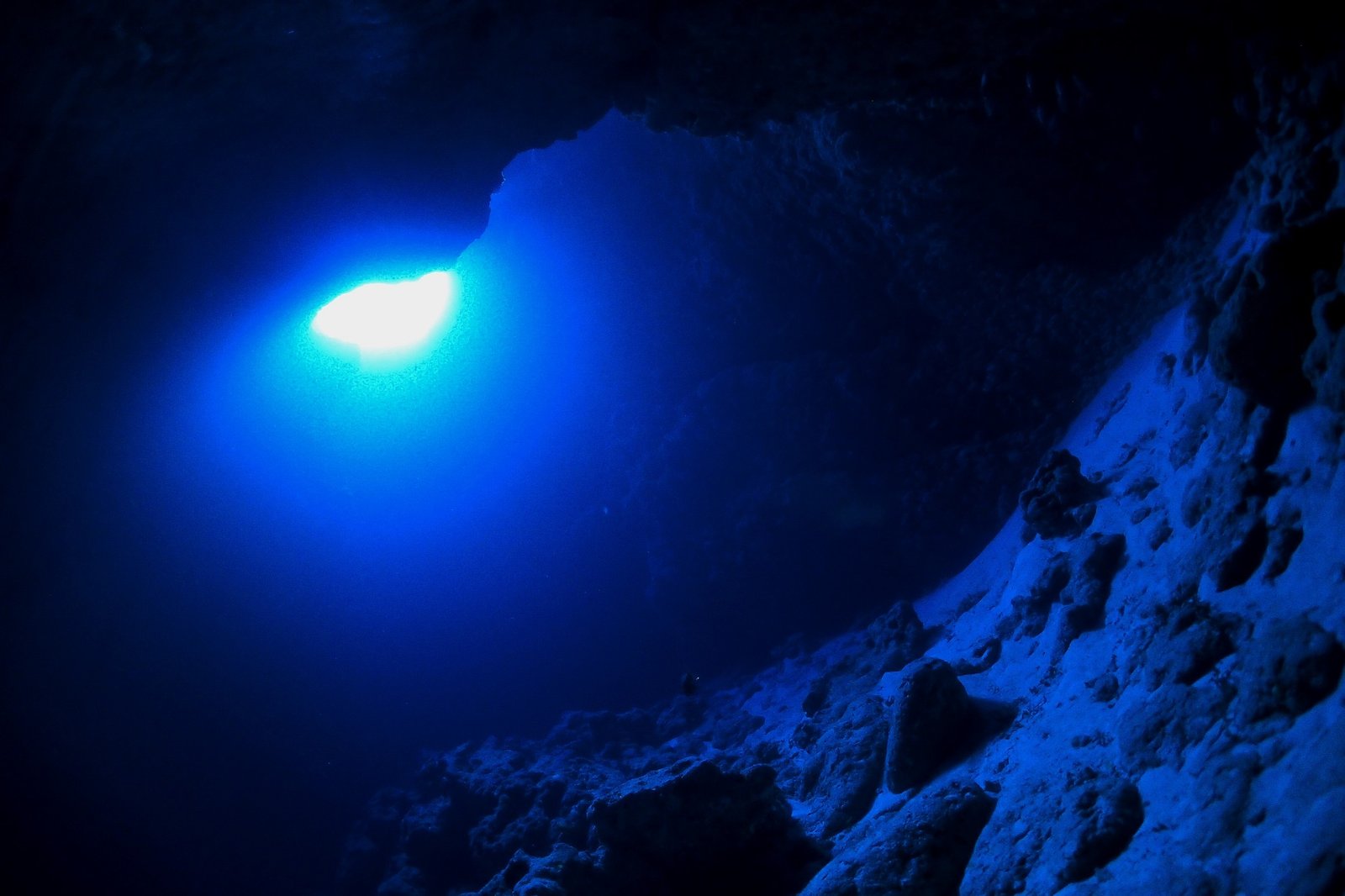 浅瀬のサンゴ礁でリラックスダイブ