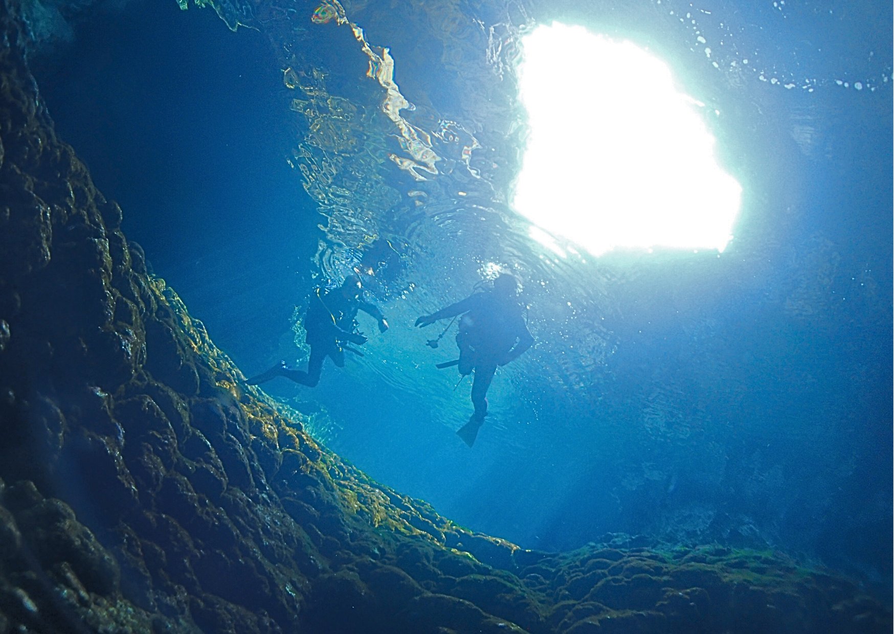 ブランク明けでも安心して潜れるファンダイビング