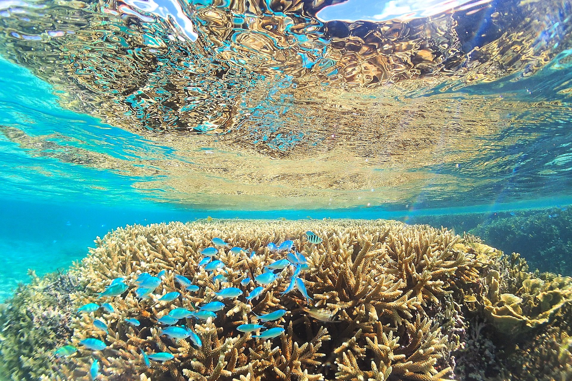 人気を集める宮古島の地形ダイビングスポット