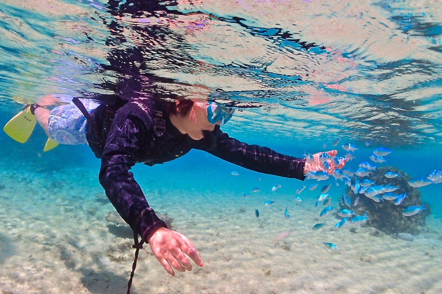 シュノーケリングでウミガメと泳ぐ宮古島の海