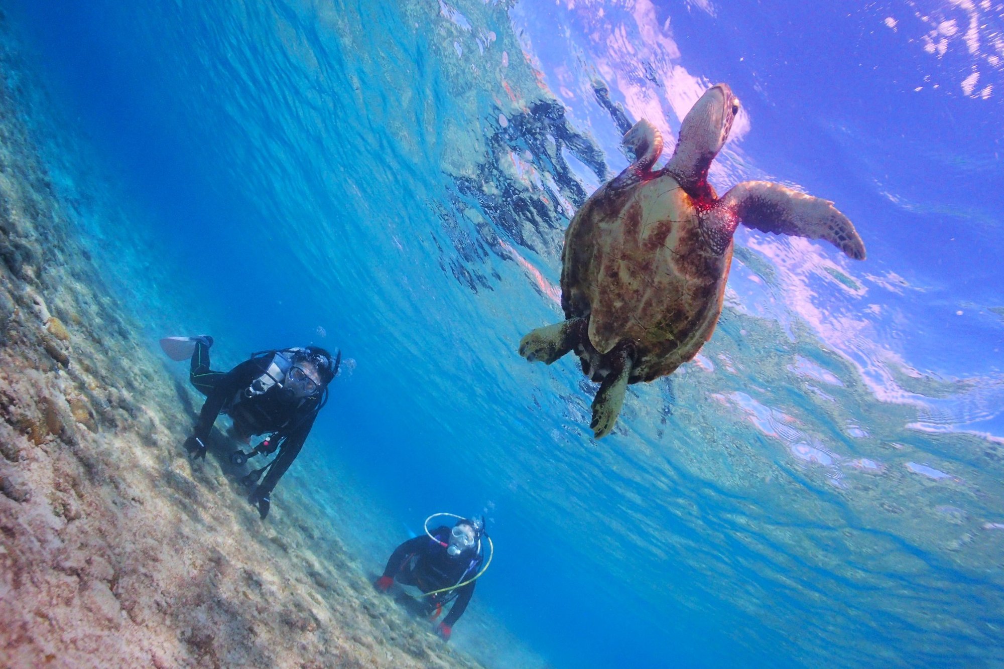 初心者が知っておきたいダイビングの注意点