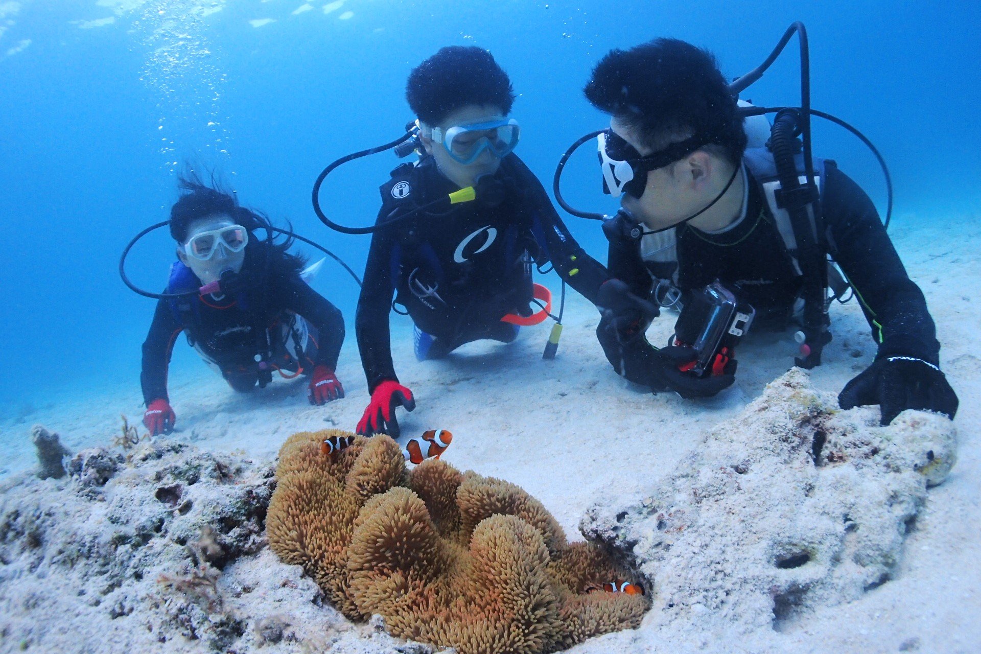 浅瀬で安心して練習できる体験ダイビング