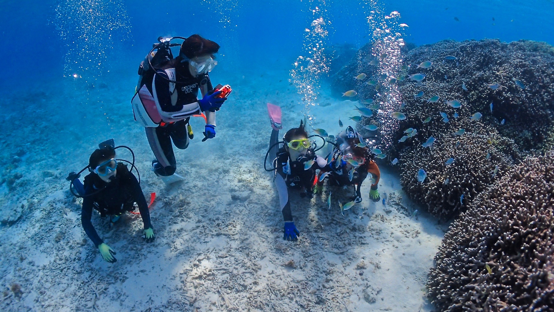 色鮮やかな熱帯魚に囲まれる宮古島の体験ダイビング
