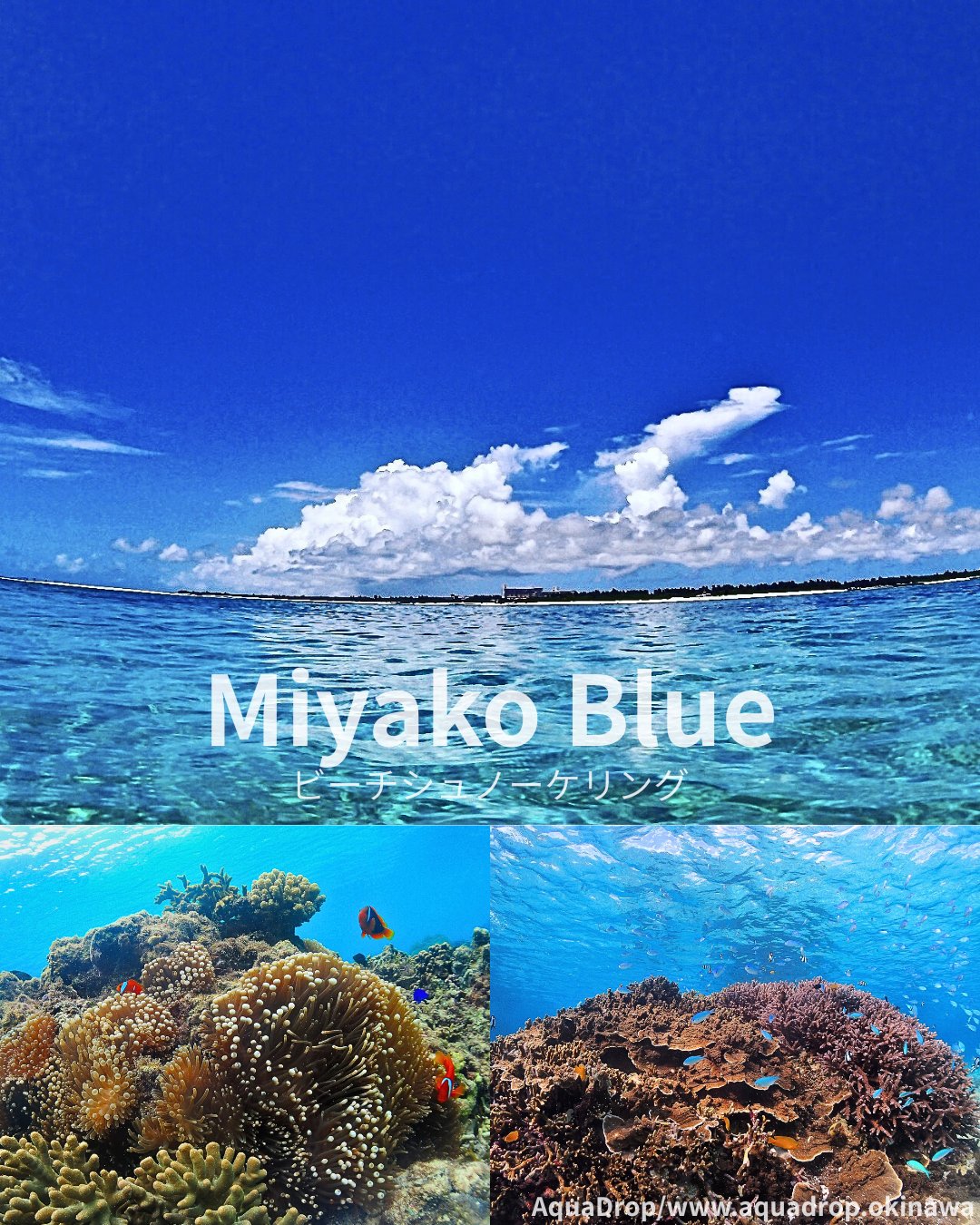 AquaDrop Instagram ギャラリー トップ